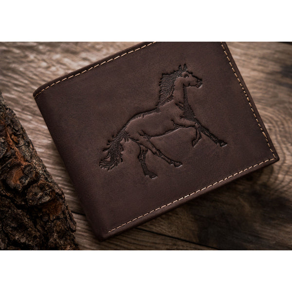 Didelė piniginė vyrams Always Wild, ruda N450