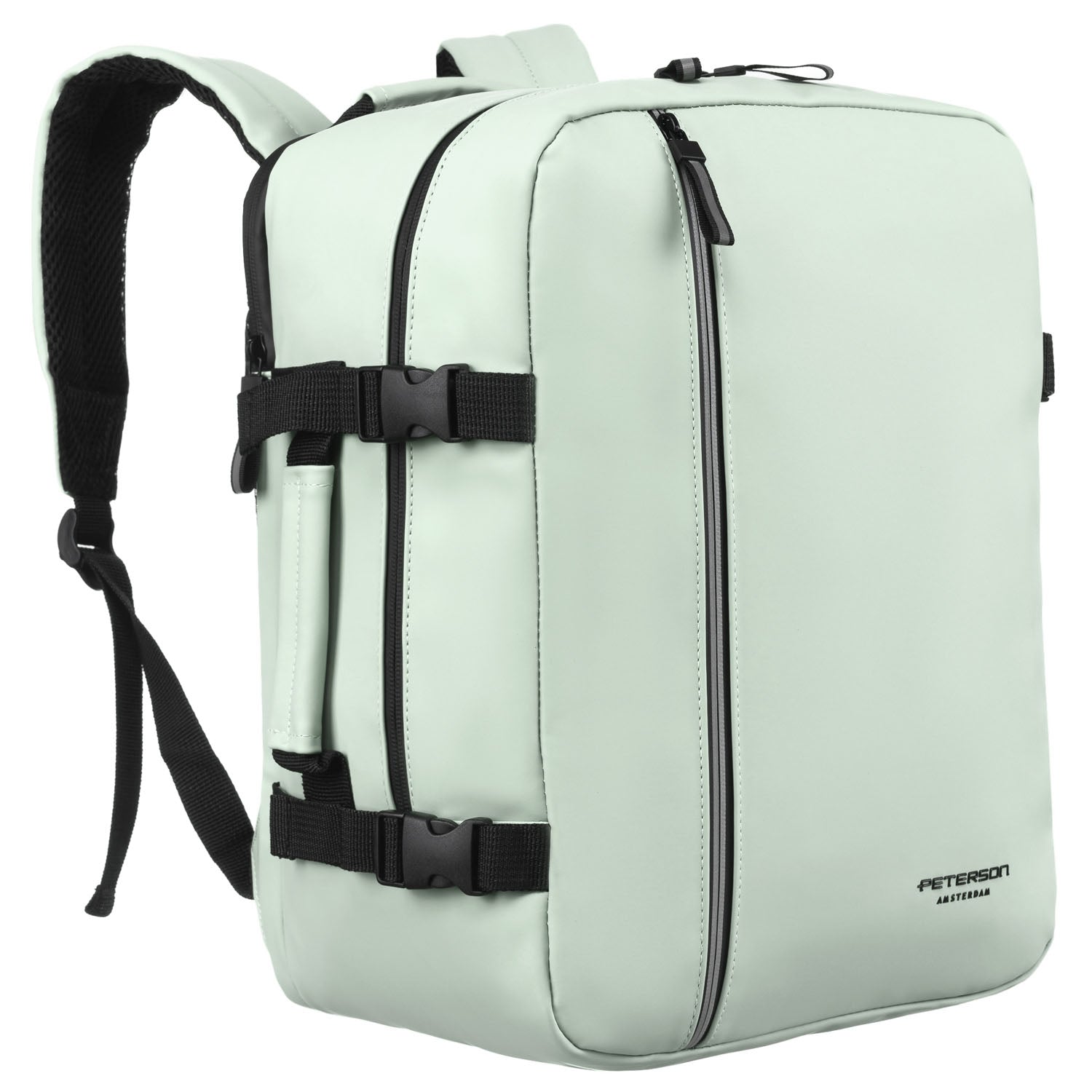 Vidutinė kuprinė unisex Peterson, šviesiai žalia