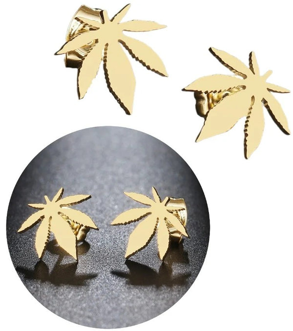 Auskarai moterims C58 N77