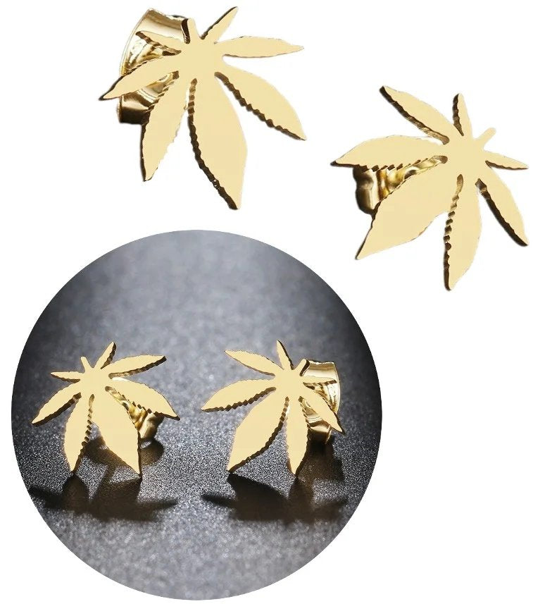 Auskarai moterims C58 N77