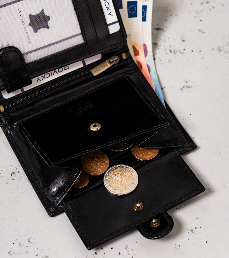 Vyriška odinė piniginė Rovicky RV110 S413