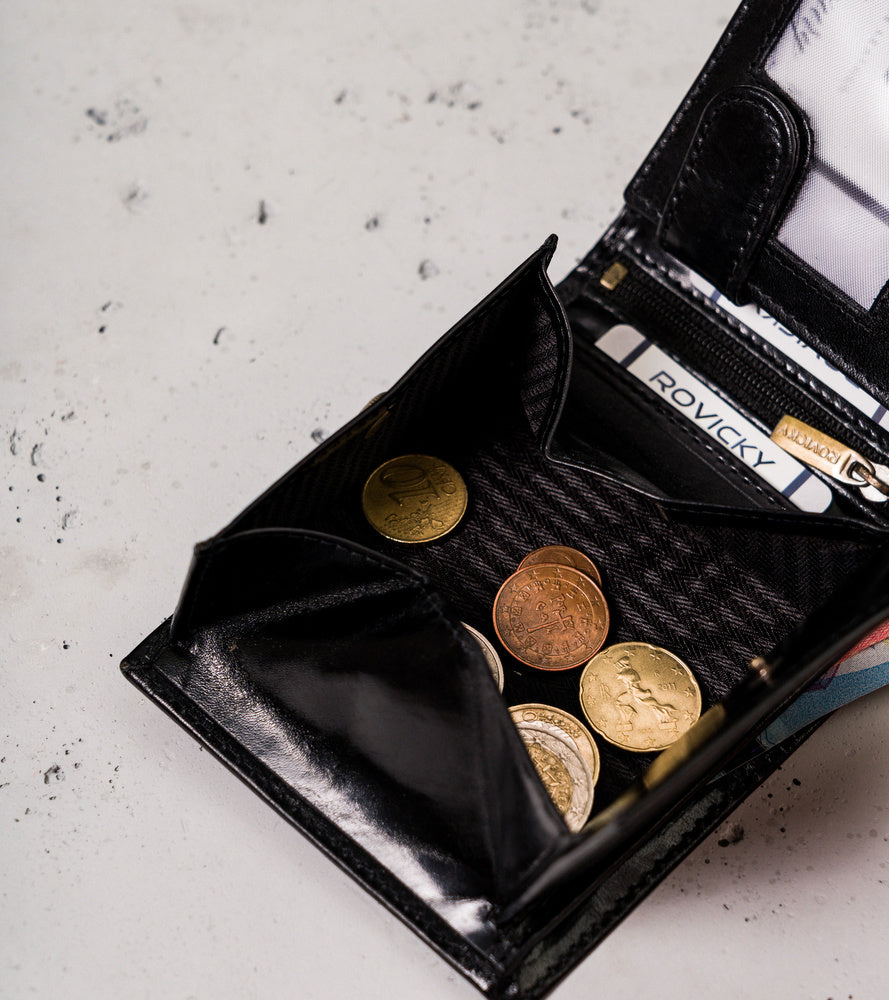 Vyriška odinė piniginė Rovicky RV115 S408