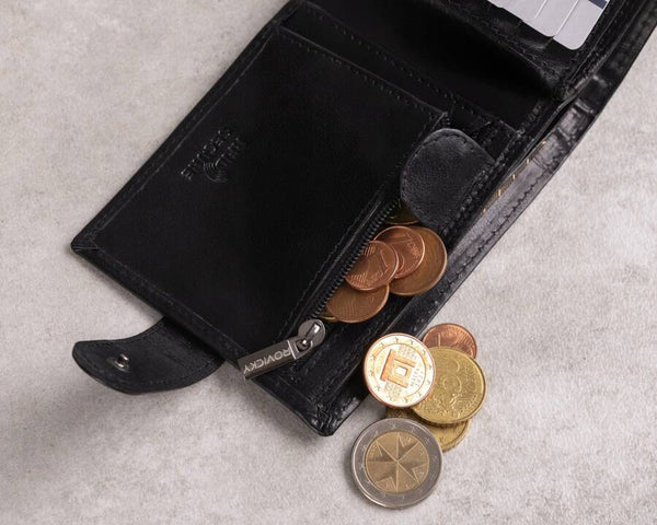 Vyriška odinė piniginė Rovicky RV119 S404