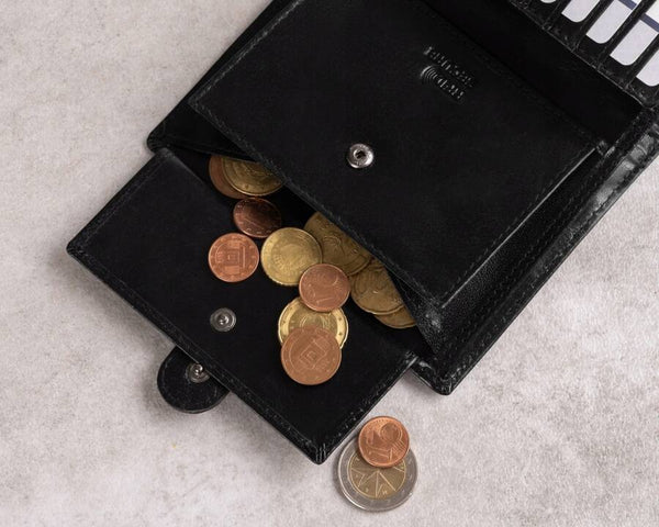 Vyriška odinė piniginė Rovicky RV121 S401