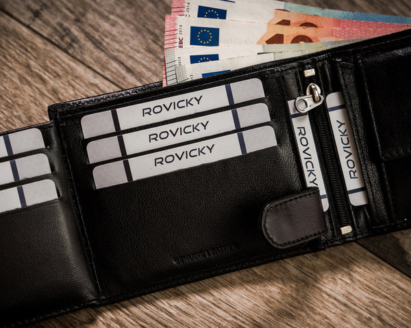 Vyriška odinė piniginė Rovicky RV122 S400
