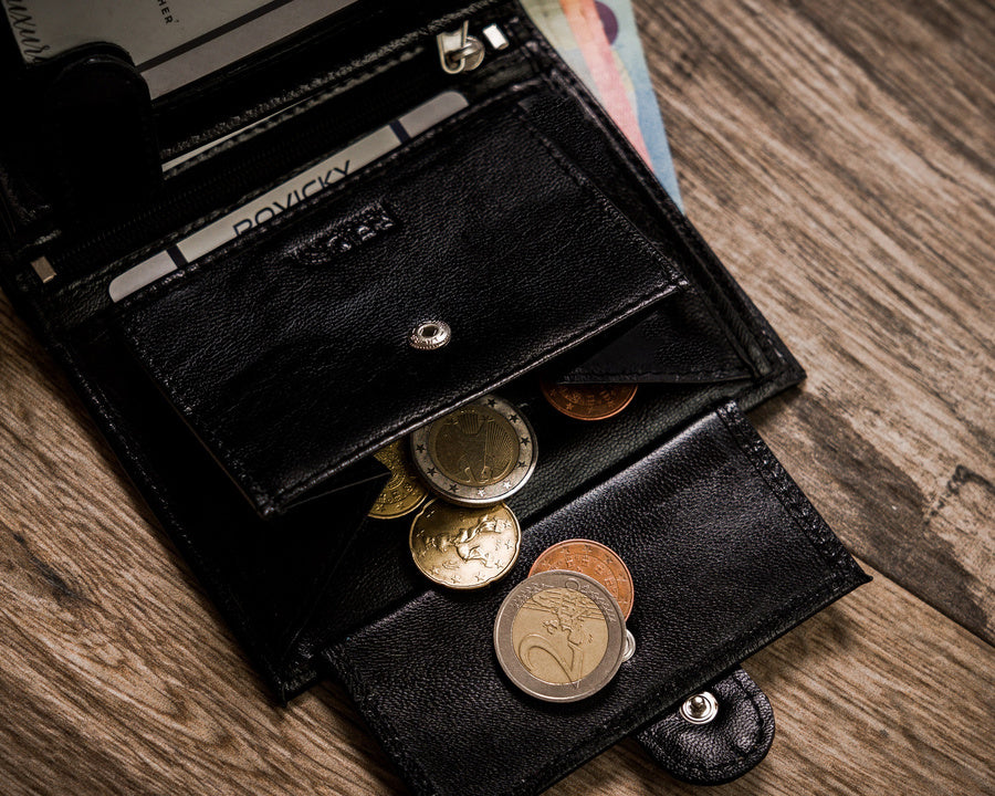 Vyriška odinė piniginė Rovicky RV124 S398