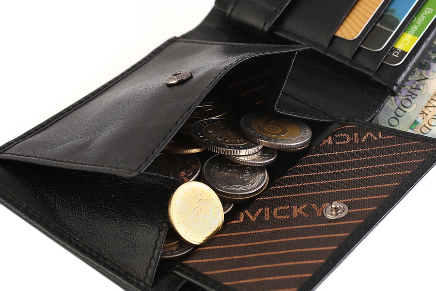 Vyriška odinė piniginė Rovicky RV130 S391