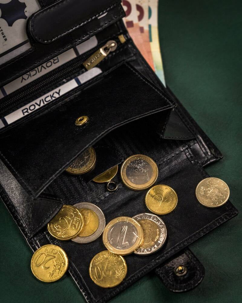 Vyriška odinė piniginė Rovicky RV133 S388