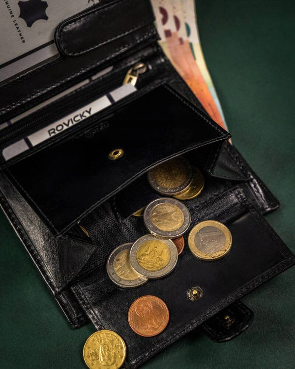 Vyriška odinė piniginė Rovicky RV136 S385