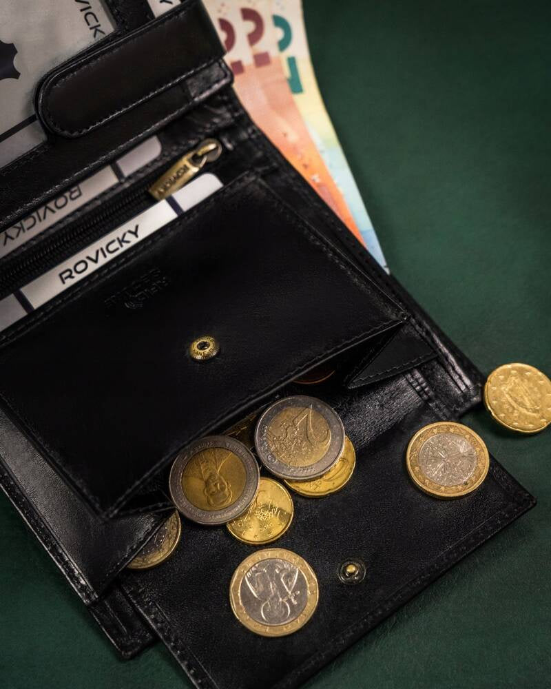 Vyriška odinė piniginė Rovicky RV137 S384