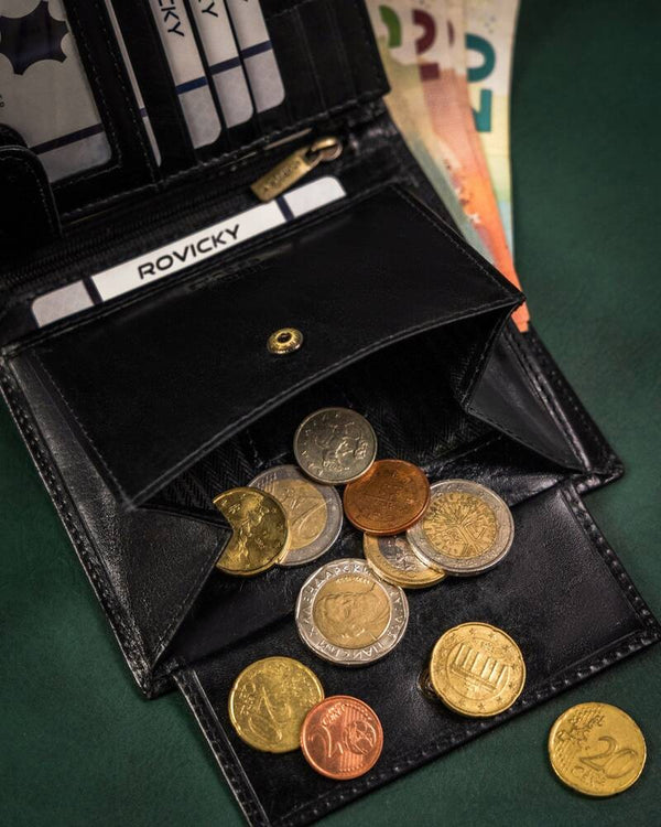 Vyriška odinė piniginė Rovicky RV139 S382