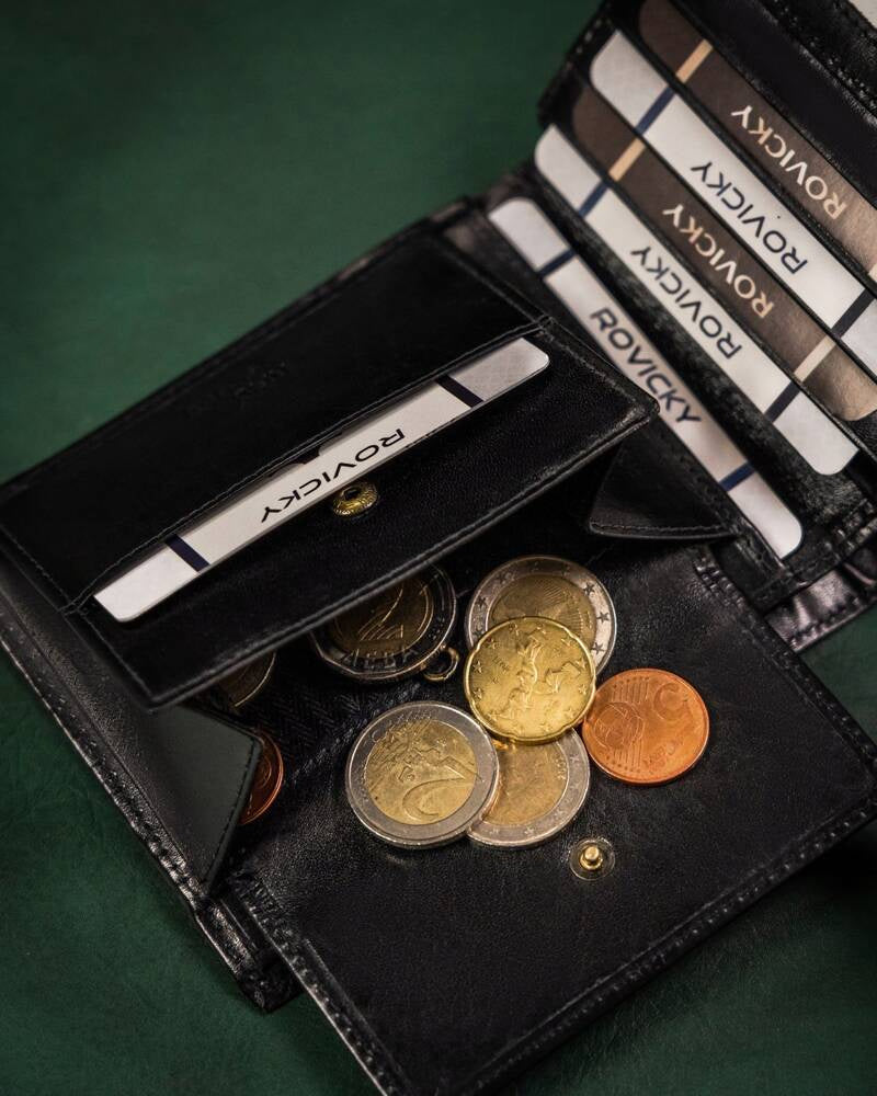 Vyriška odinė piniginė Rovicky RV145 S375