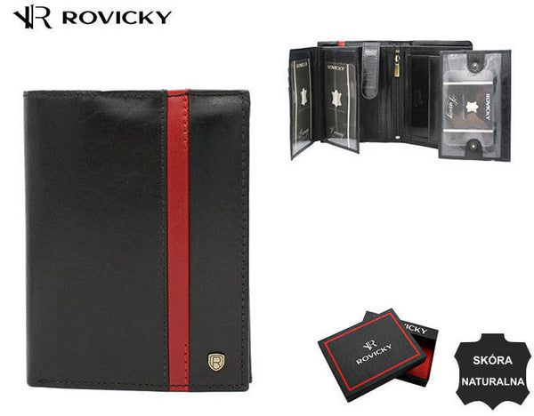 Vyriška odinė piniginė Rovicky RV149 S371