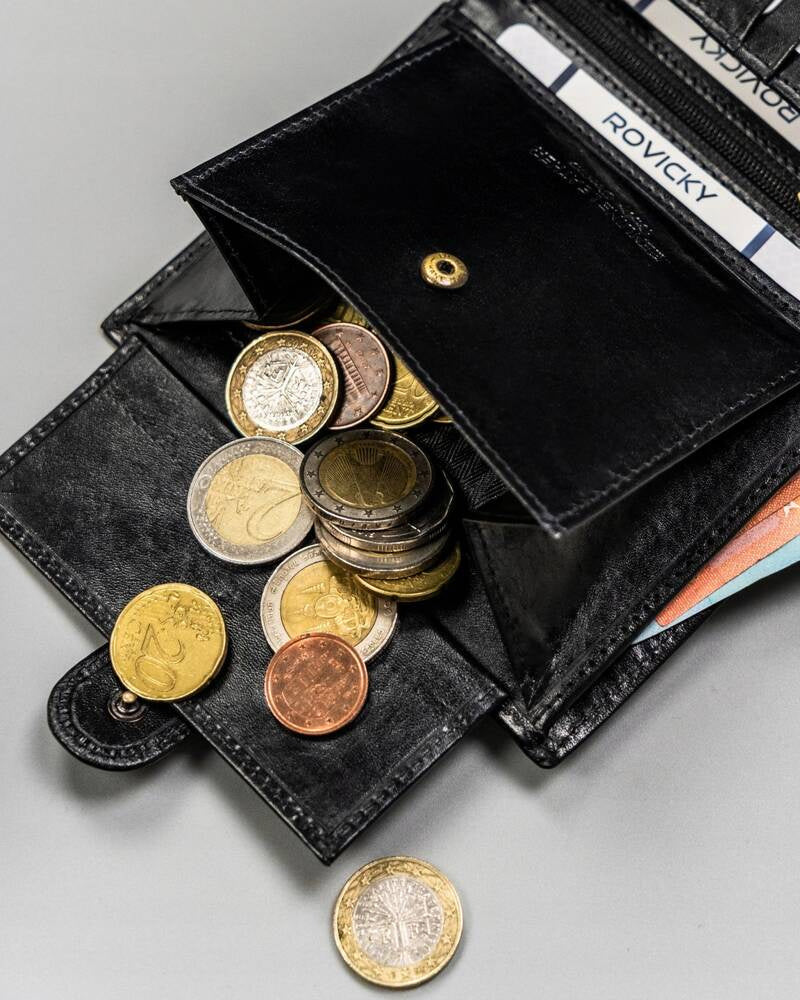 Vyriška odinė piniginė Rovicky RV154 S365