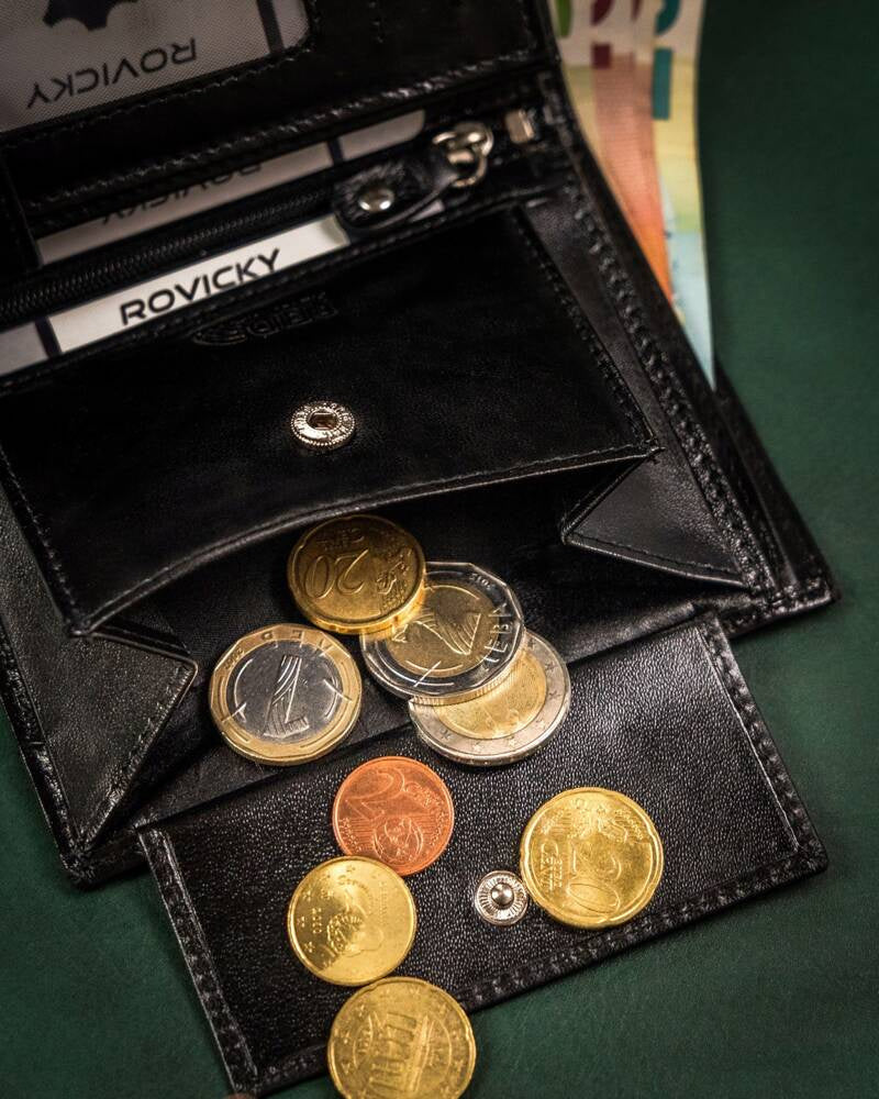Vyriška odinė piniginė Rovicky RV170 S348