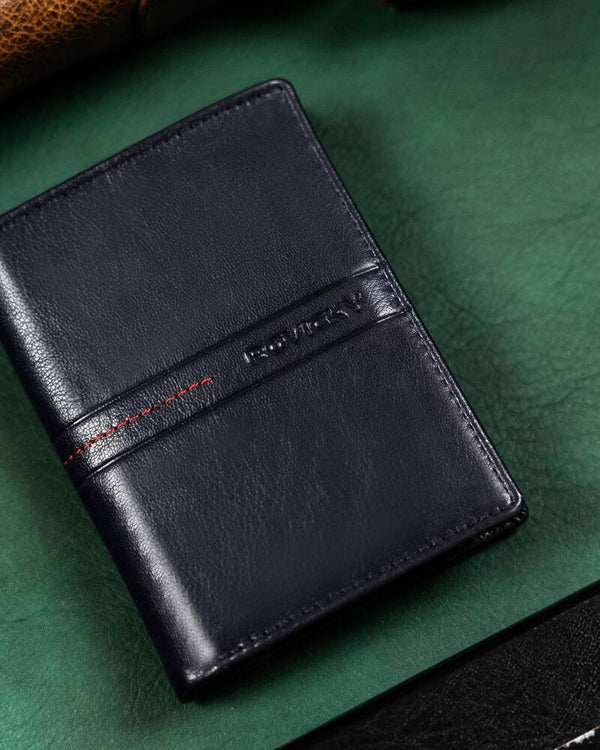 Vyriška odinė piniginė Rovicky RV174 S344