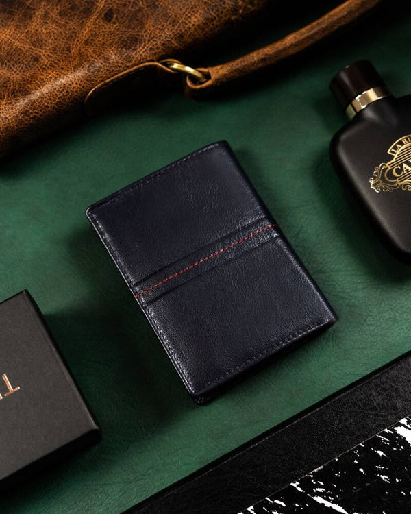 Vyriška odinė piniginė Rovicky RV174 S344