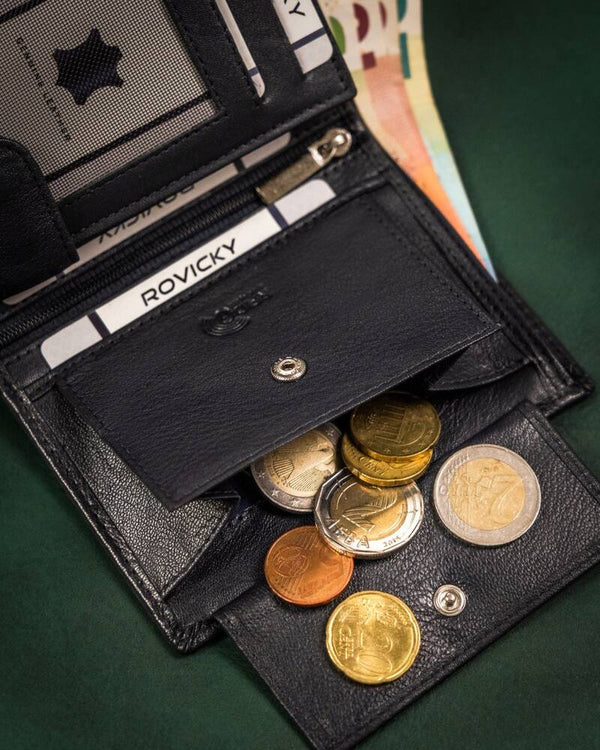 Vyriška odinė piniginė Rovicky RV174 S344