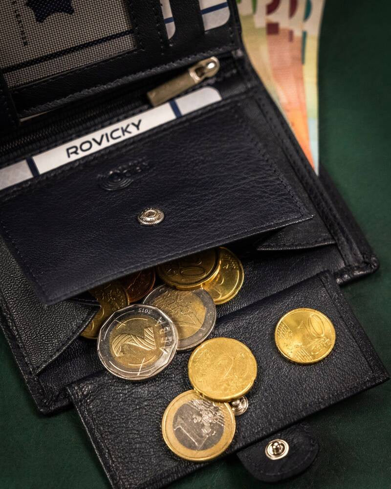Vyriška odinė piniginė Rovicky RV176 S342