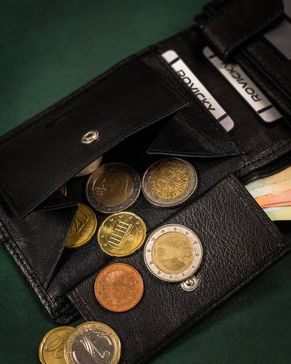 Vyriška odinė piniginė Rovicky RV177 S341