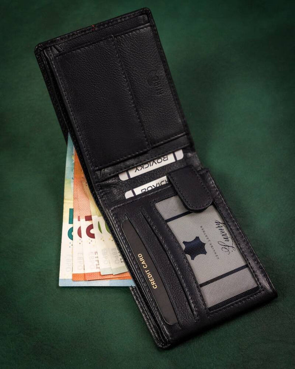 Vyriška odinė piniginė Rovicky RV178 S340