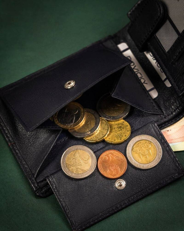 Vyriška odinė piniginė Rovicky RV178 S340