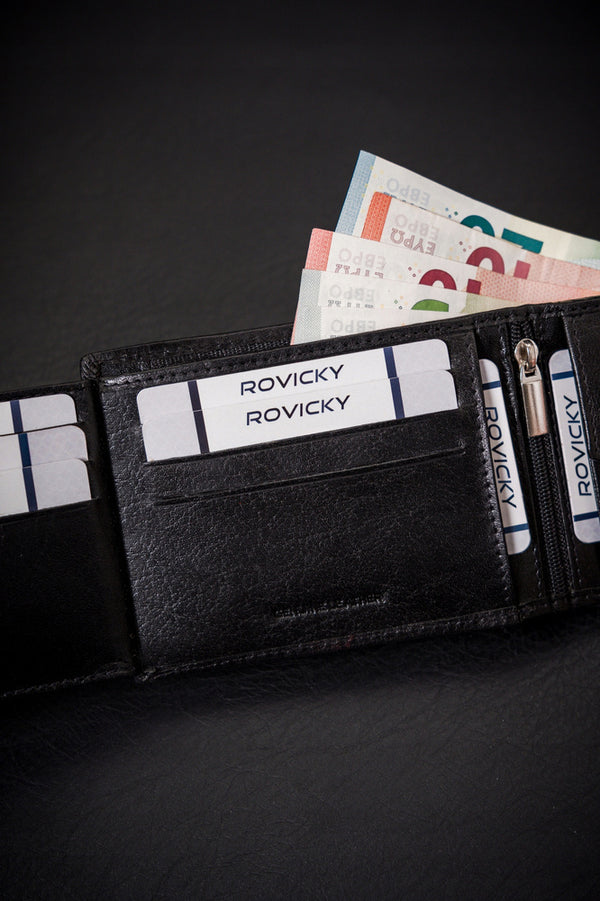 Vyriška odinė piniginė Rovicky RV222 S294