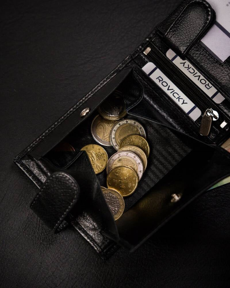 Vyriška odinė piniginė Rovicky RV228 S289