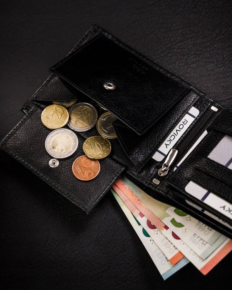 Vyriška odinė piniginė Rovicky RV231 S285