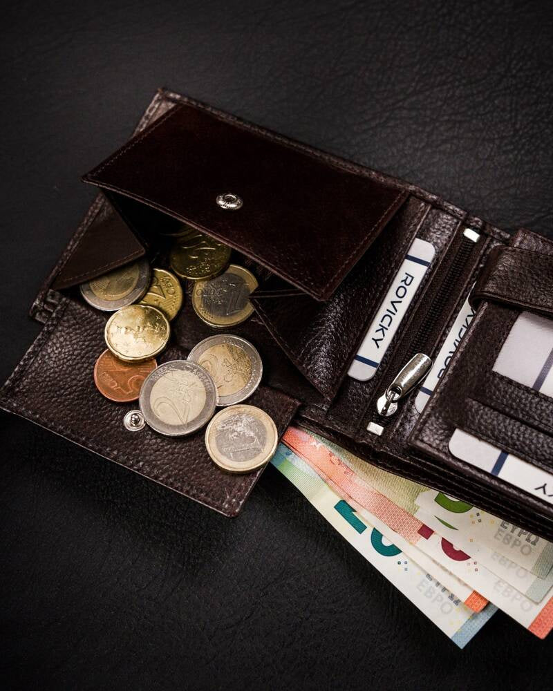 Vyriška odinė piniginė Rovicky RV232 S284