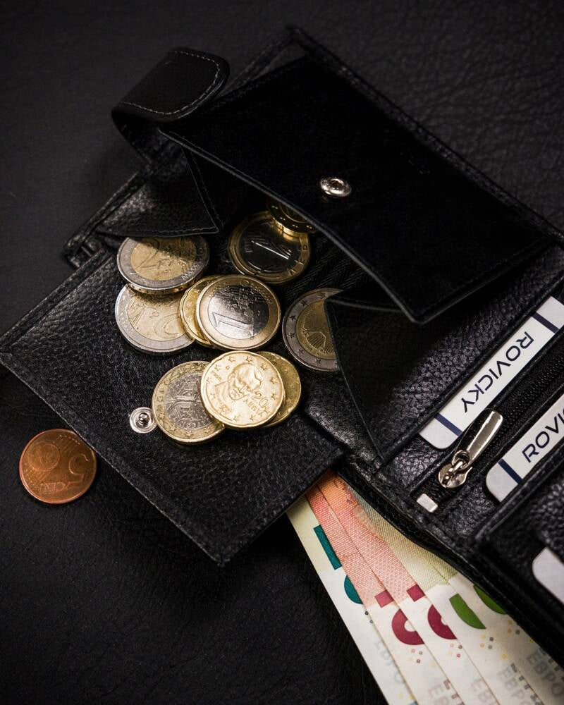 Vyriška odinė piniginė Rovicky RV234 S282