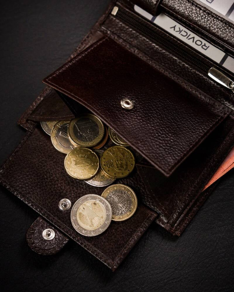 Vyriška odinė piniginė Rovicky RV235 S281