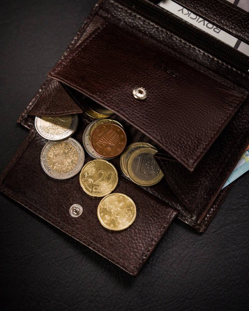 Vyriška odinė piniginė Rovicky RV237 S279