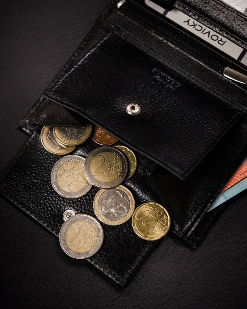 Vyriška odinė piniginė Rovicky RV238 S278