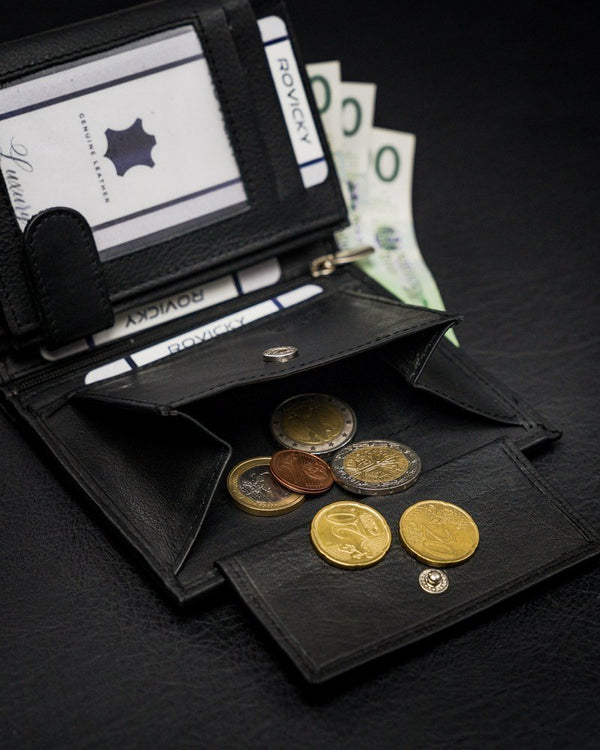 Vyriška odinė piniginė Rovicky RV23 S287