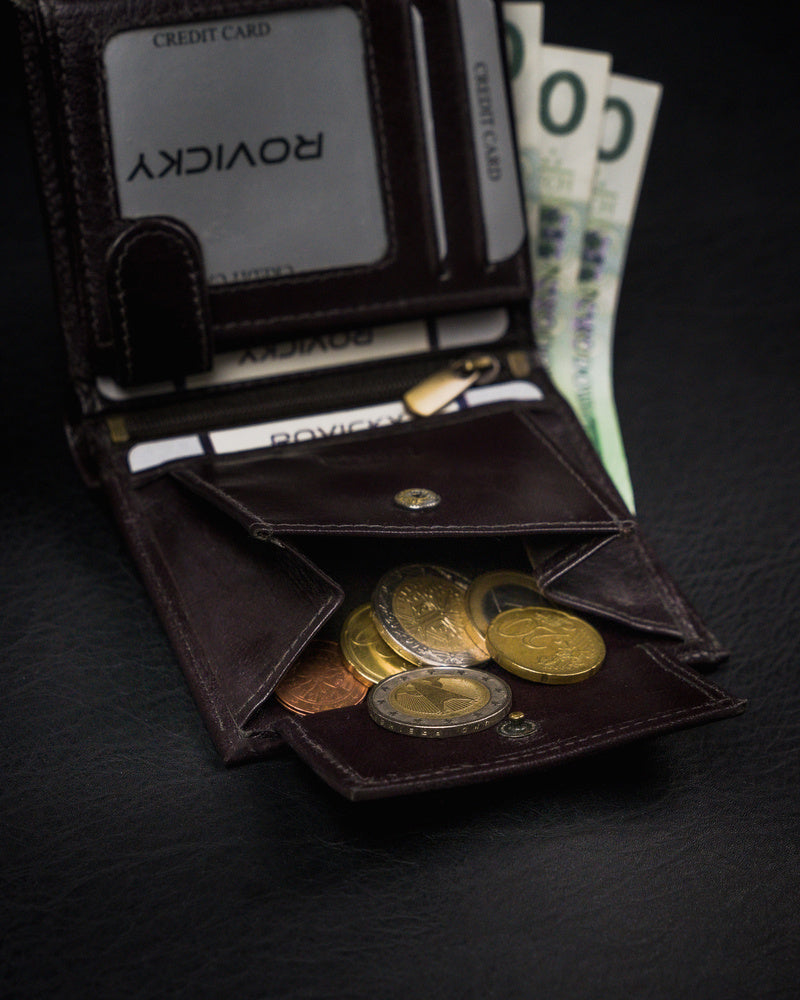 Vyriška odinė piniginė Rovicky RV39 S262