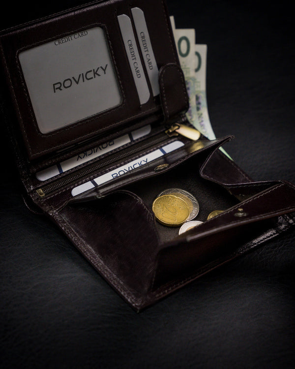 Vyriška odinė piniginė Rovicky RV44 S257