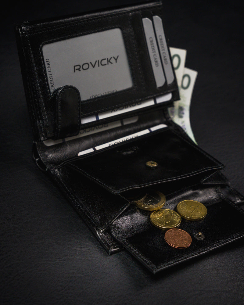 Vyriška odinė piniginė Rovicky RV49 S252