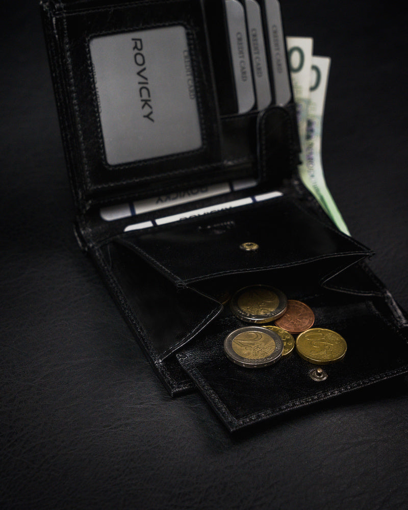 Vyriška odinė piniginė Rovicky RV54 S248