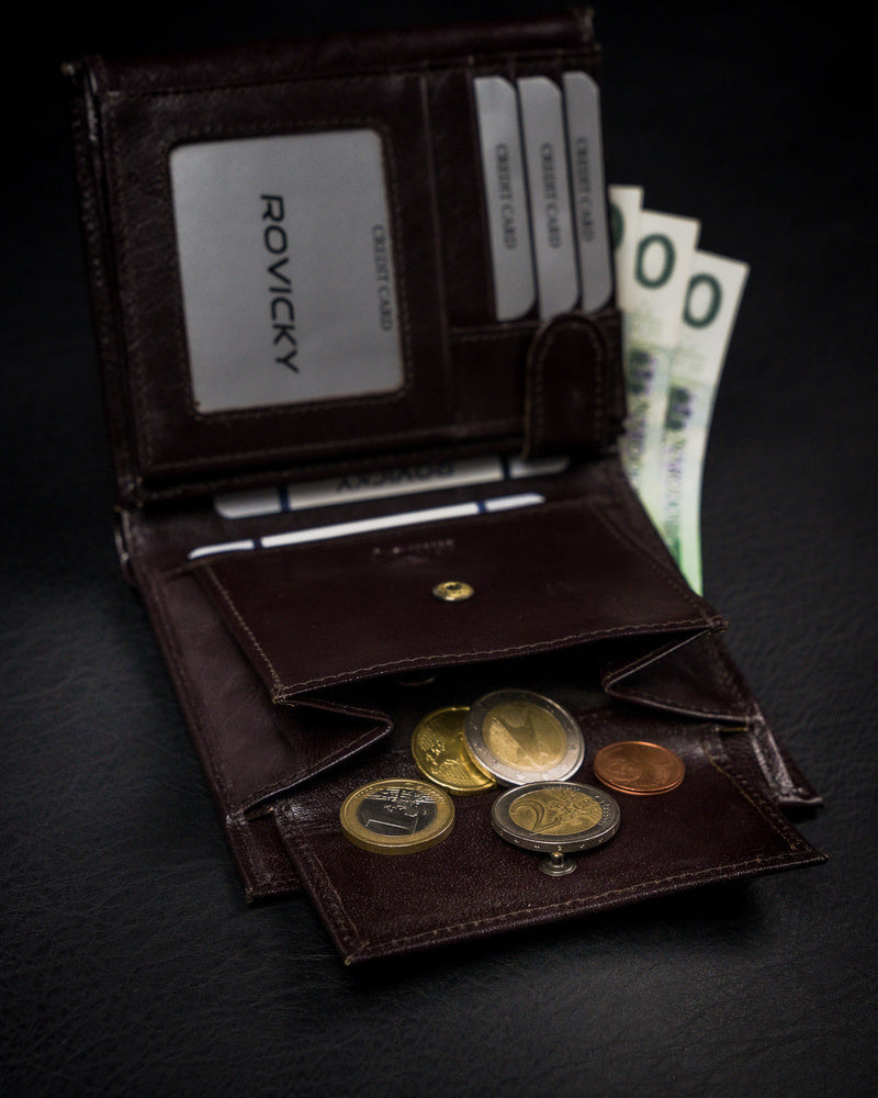 Vyriška odinė piniginė Rovicky RV55 S247