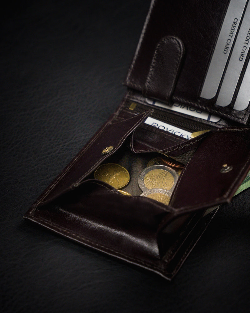 Vyriška odinė piniginė Rovicky RV57 S245