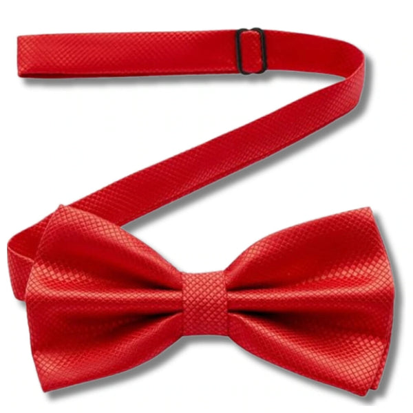 Vyriška peteliškė, raudona, elegantiška