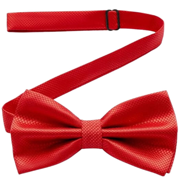 Vyriška peteliškė, raudona, elegantiška
