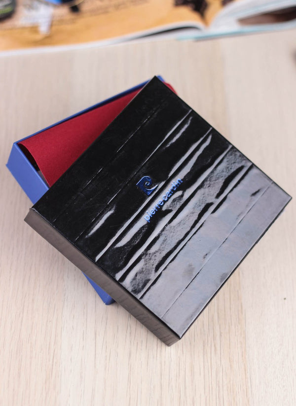 Vyriška piniginė Pierre Cardin YS507-10 S90