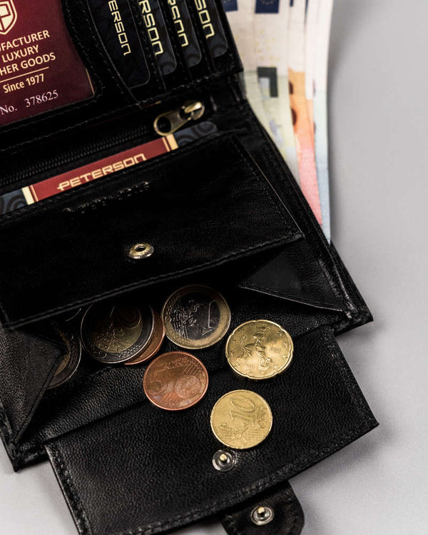 Vyriška piniginė U333 S85