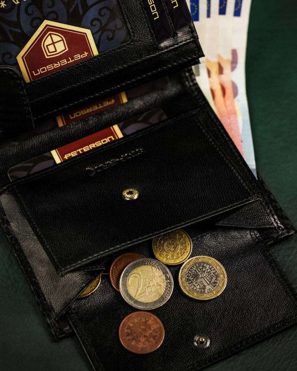 Vyriška piniginė U348 S82