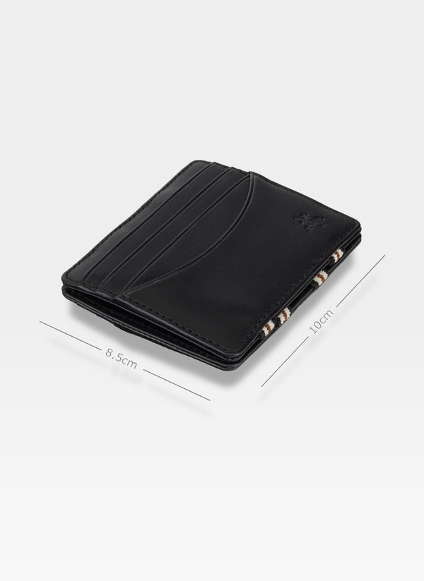 Vyriška piniginė Visconti RSL38 S34