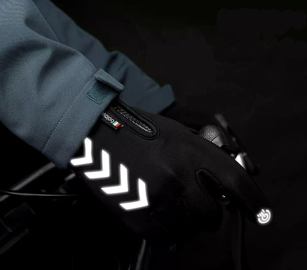 Vyriškos žieminės pirštinės R10, juodos