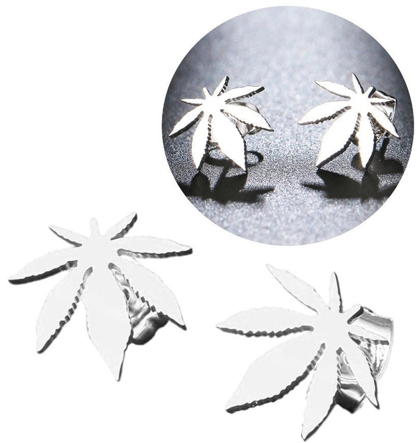 Auskarai moterims F58 N78